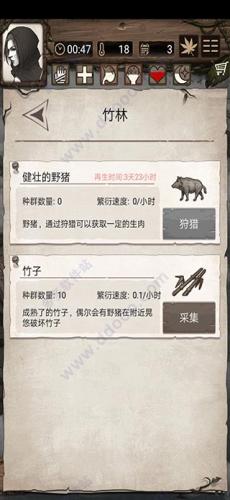 荒岛求生