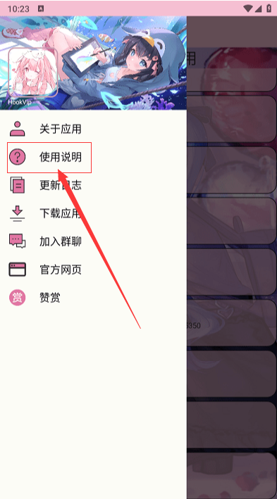 hookvip模块