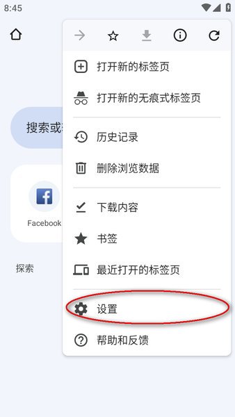谷歌浏览器海外版