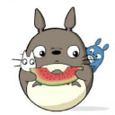 龙猫追剧免费下载